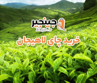 خرید چای لاهیجان