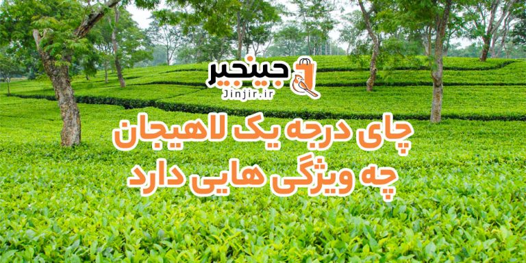 چای درجه یک لاهیجان چه ویژگی هایی دارد